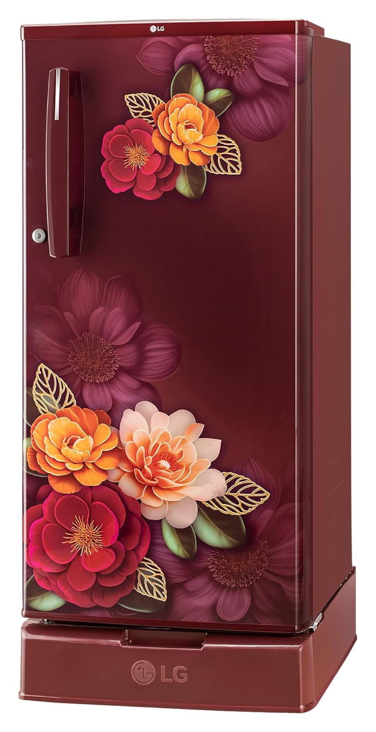 LG GLD1925XORK 185 L, 2 Star, Direct Cool Single Door Refrigerator ( Ruby Klase, Base stand with Drawer, Fit Max Chiller Tray, Works Without Stabilizer, 2026 Model) Mahajan Electronics Online