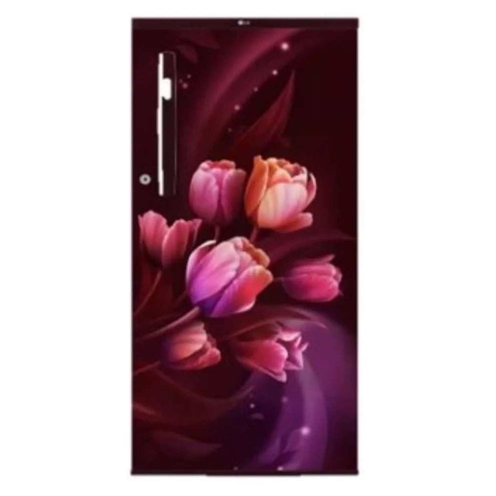 LG GL-B199OSTB 185 L 1 Star Single Door Refrigerator Scarlet Tulip Mahaja Electronics