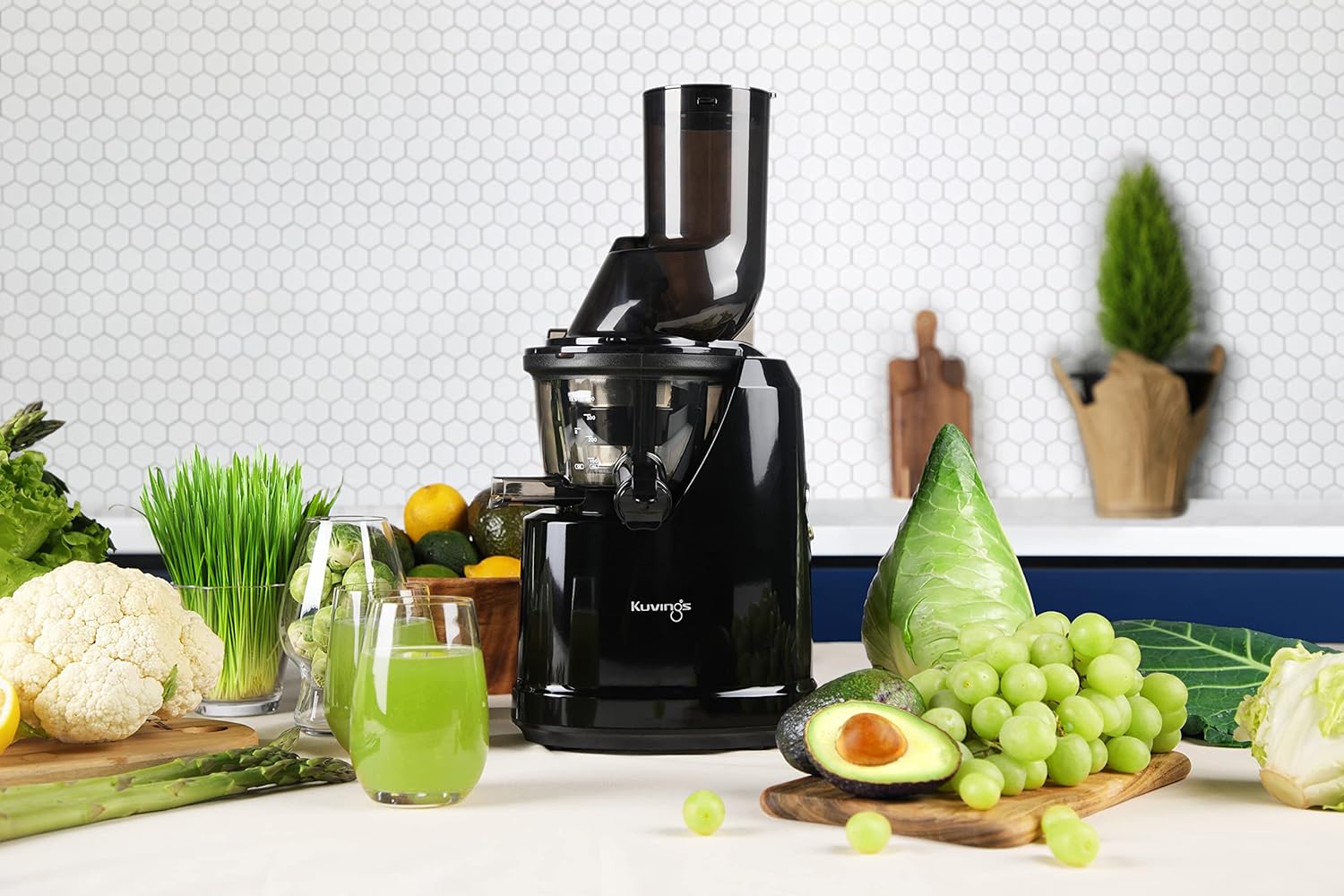 Kuvings B1700 Phantom Black Cold Press Whole Slow Juicer, Patented JMCS Technology for 10% More Juice, All-in-1 Fruit & Vegetable Juicer, 12 Yrs Warranty (Motor), PAN India Services, 240W Strong Motor Mahajan Electronics Online