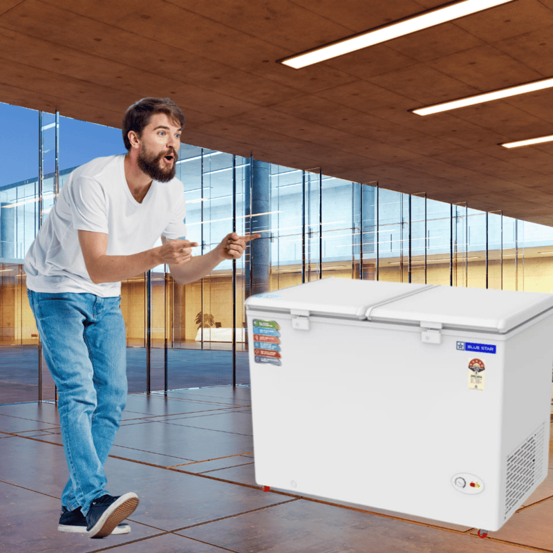 Blue star Hard Top Chest Freezer CF5-330NPYW-SL mahajan electronics online