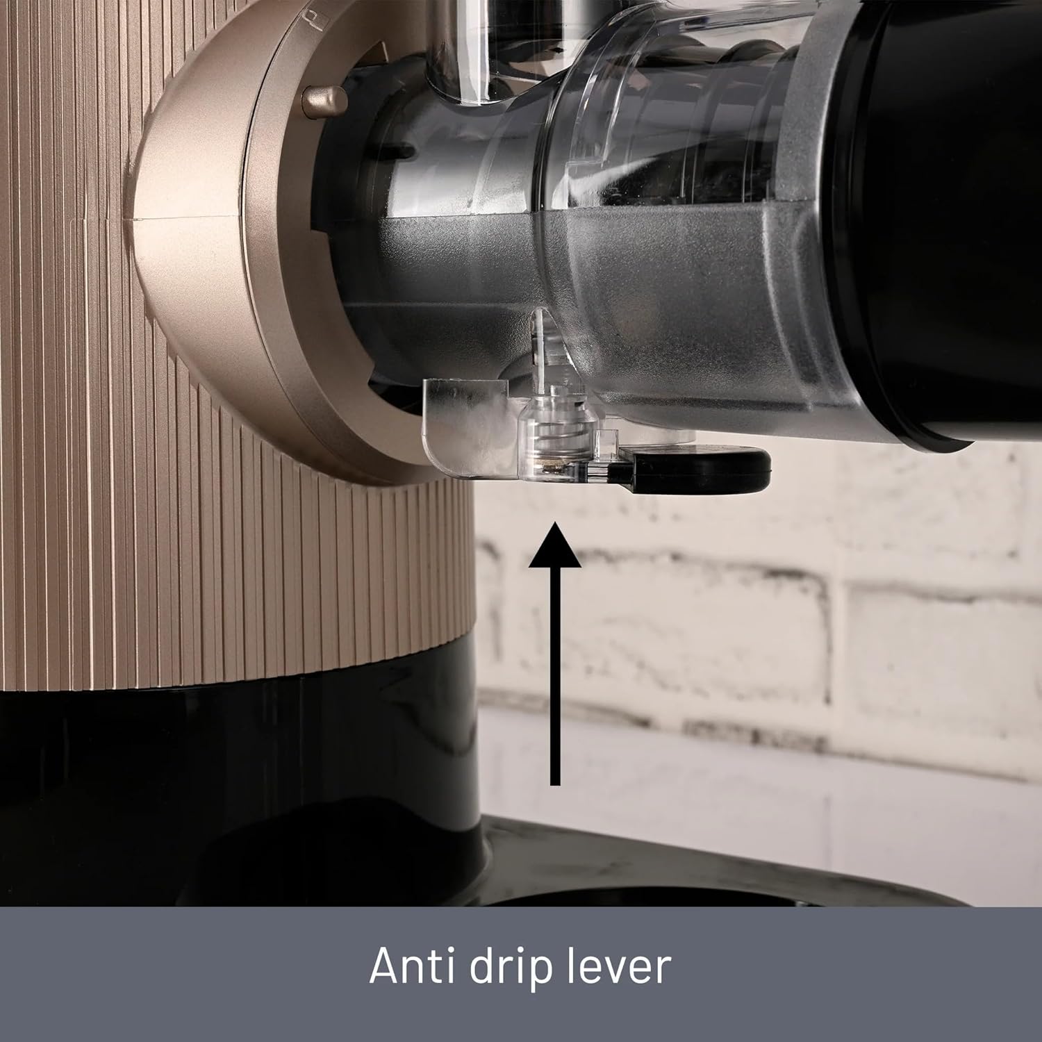 GLEN SA 4017 Cold Press Slow Juicer With Anti Drip Feature - 2 Years Warranty , 150 Watts Mahajan Electronics Online