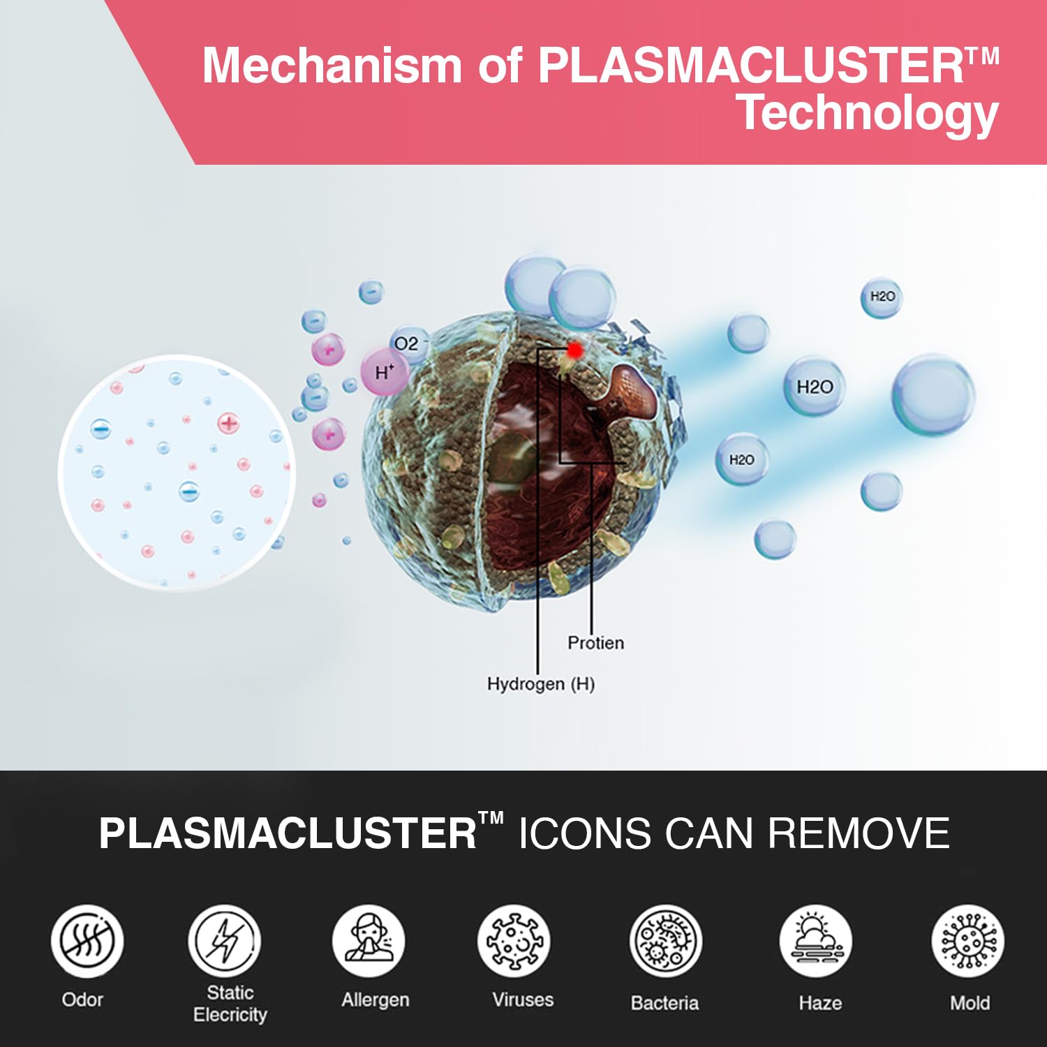SHARP FX-S120M-H Air Purifier for Home | Wi-Fi Connectivity, Remote Operation Capability, PM 2.5 Display Mahajan Electronics Online