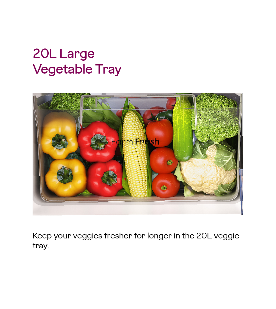 Godrej RD ERIOPLS 205BN THF ST GL 180 L 2 Star Farm Fresh Crisper Technology With Jumbo Vegetable Tray Direct Cool Single Door Refrigerator Steel Glow Godrej