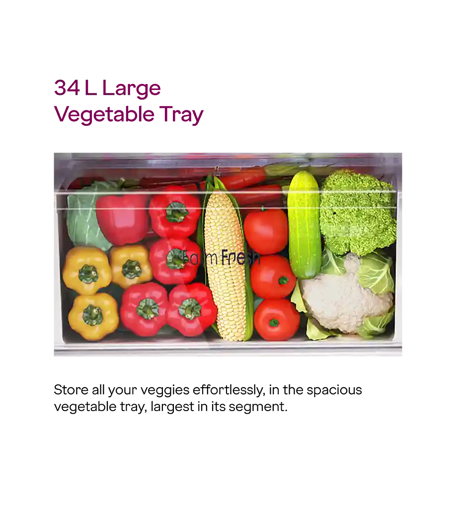 Godrej RT EONVIBE 366B RCIT CH GD Convertible - Double Door Frost Free 330 Litre Champagne Gold Mahajan Electronics Online