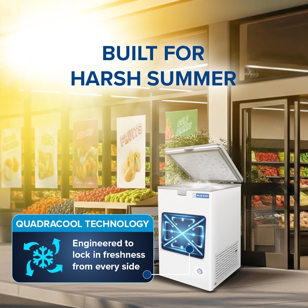 Blue Star HT2-N130 130L Double Door Deep Freezer ( 108L STORAGE)| R290 | 2 Star | White-Online Mahajan Electronics