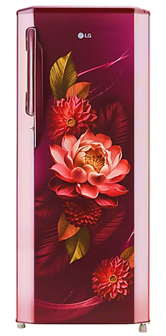 LG single door refrigerator with floral design on the door's glass panel, in a shiny steel color.