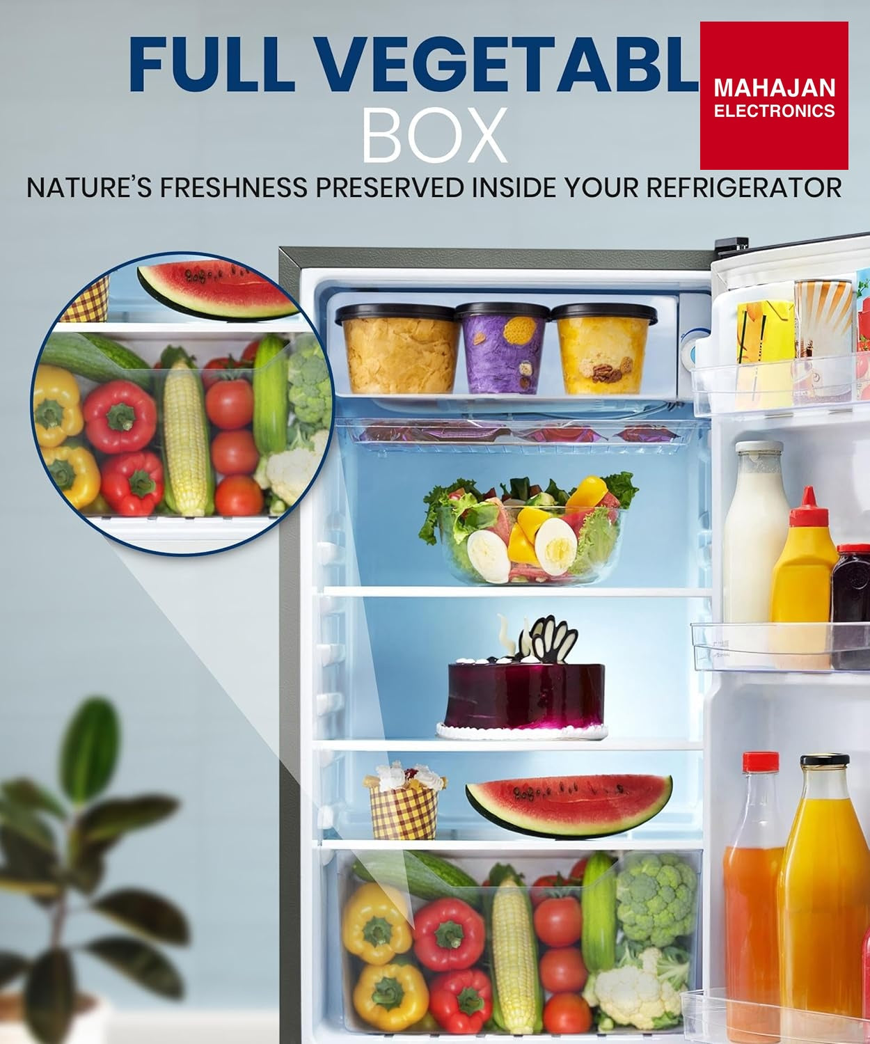 Lloyd GLDE111NMGCF 92 L Direct Cool Single Door 1 Star Refrigerator with Dedicated Freezer Section Big Bottle โ Mahajan Electronics Online.