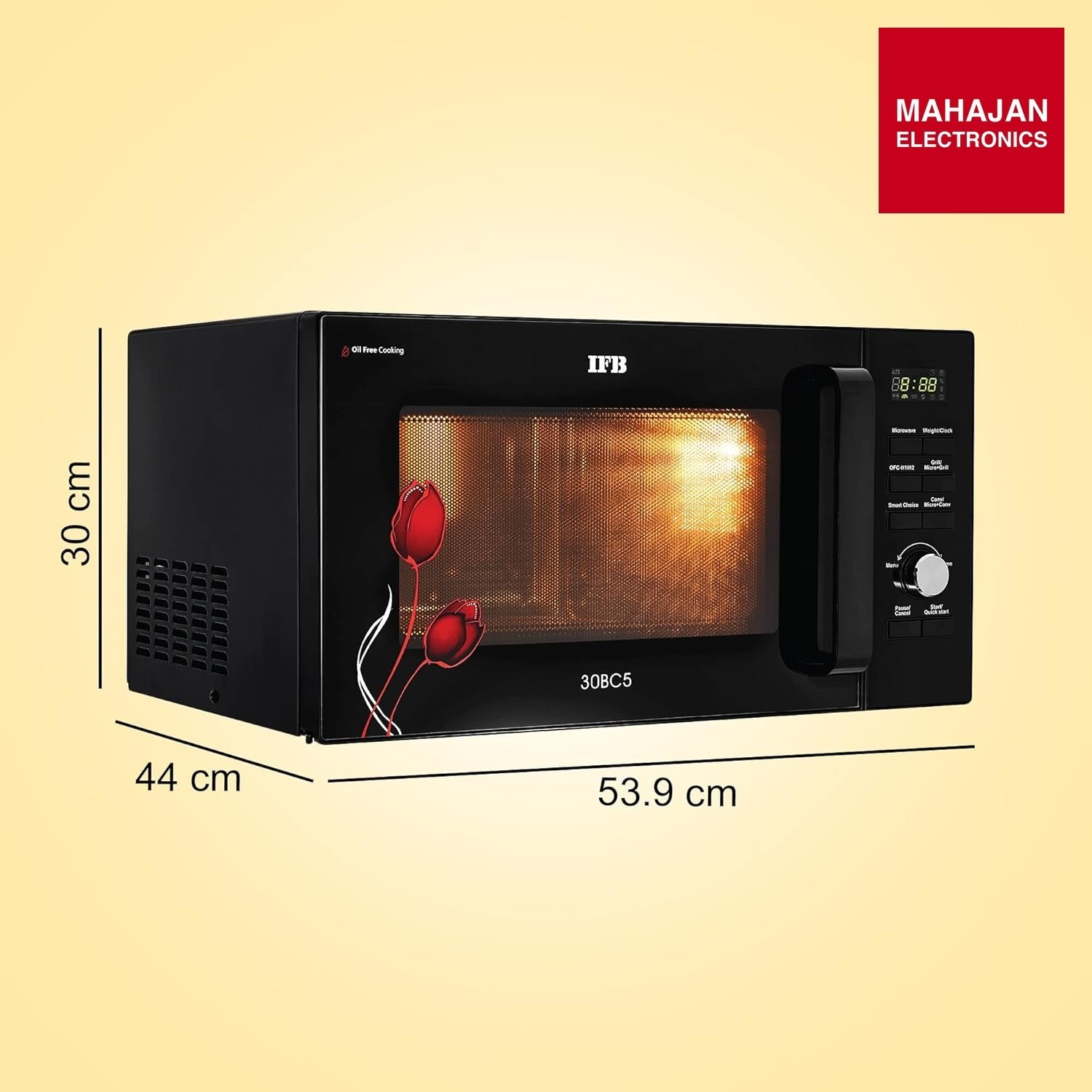 IFB 30BC5 image 1