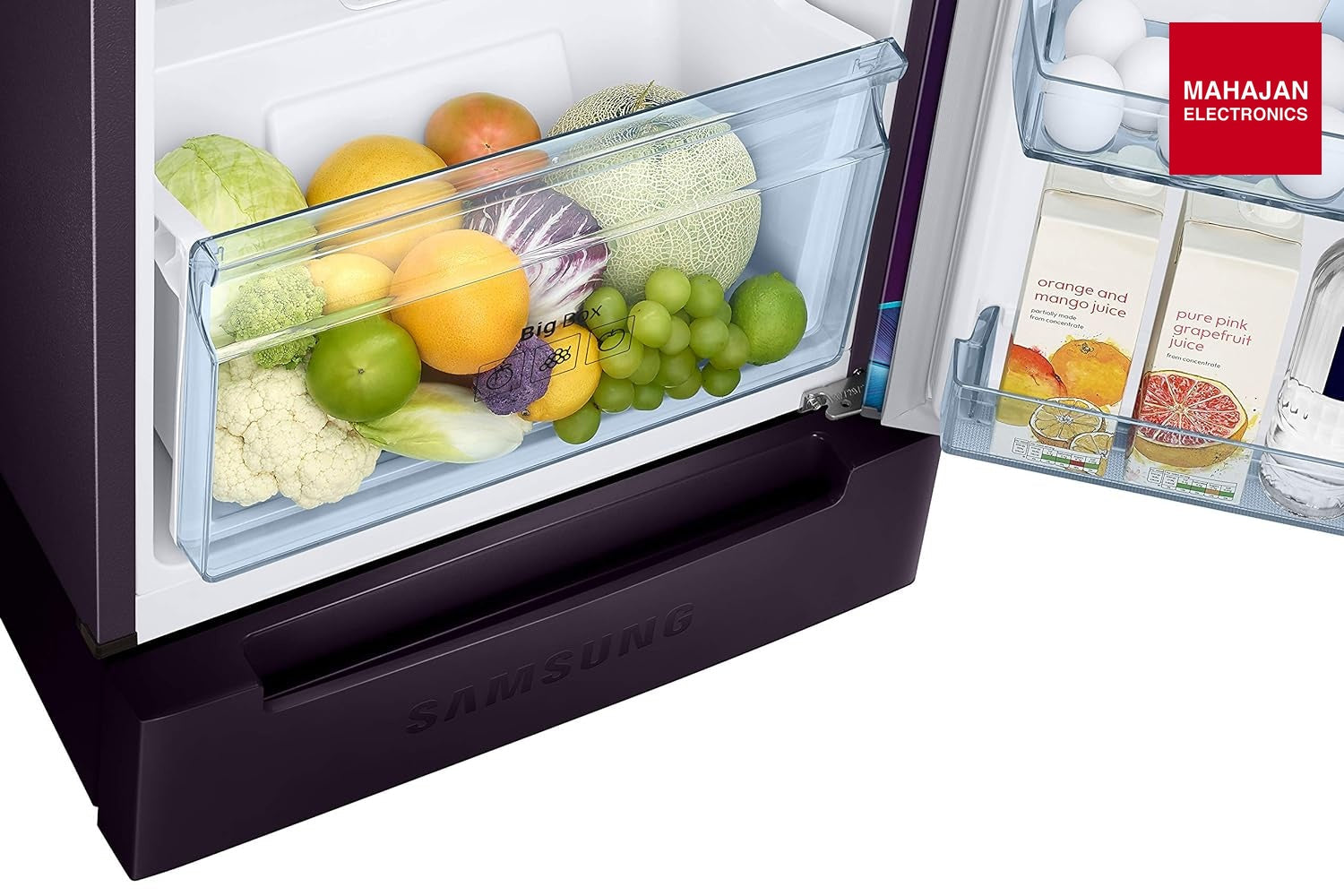 Samsung RT28C31429R/HL 236L 2 Star Inverter Frost-Free Double Door Refrigerator Mahajan Electronics Online