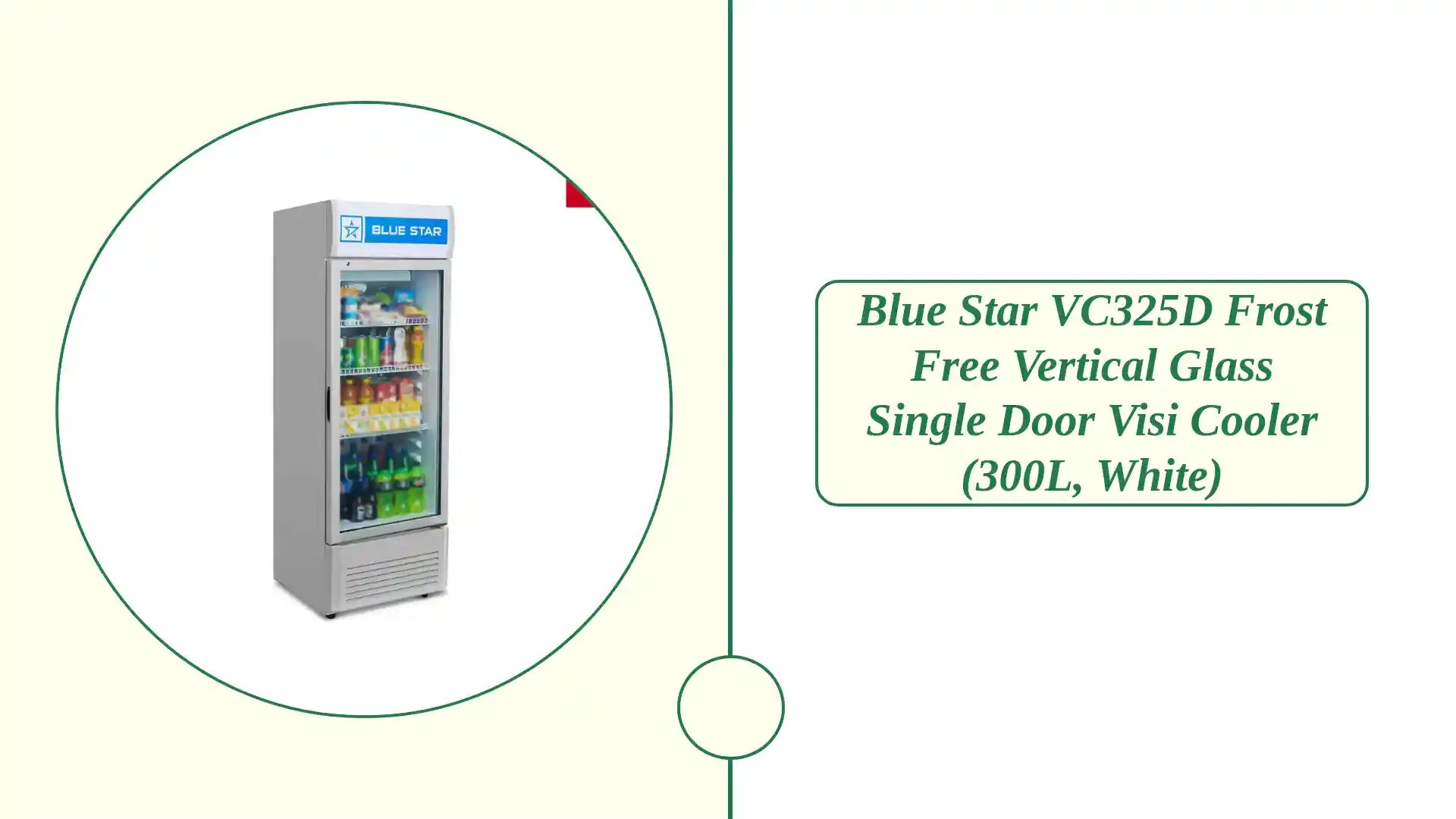 Blue Star VC325D Frost Free Vertical Glass Single Door Visi Cooler (300L, White) by@Outfy