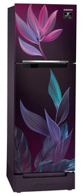 Samsung RT28C31429R/HL 236L 2 Star Inverter Frost-Free Double Door Refrigerator Mahajan Electronics Online