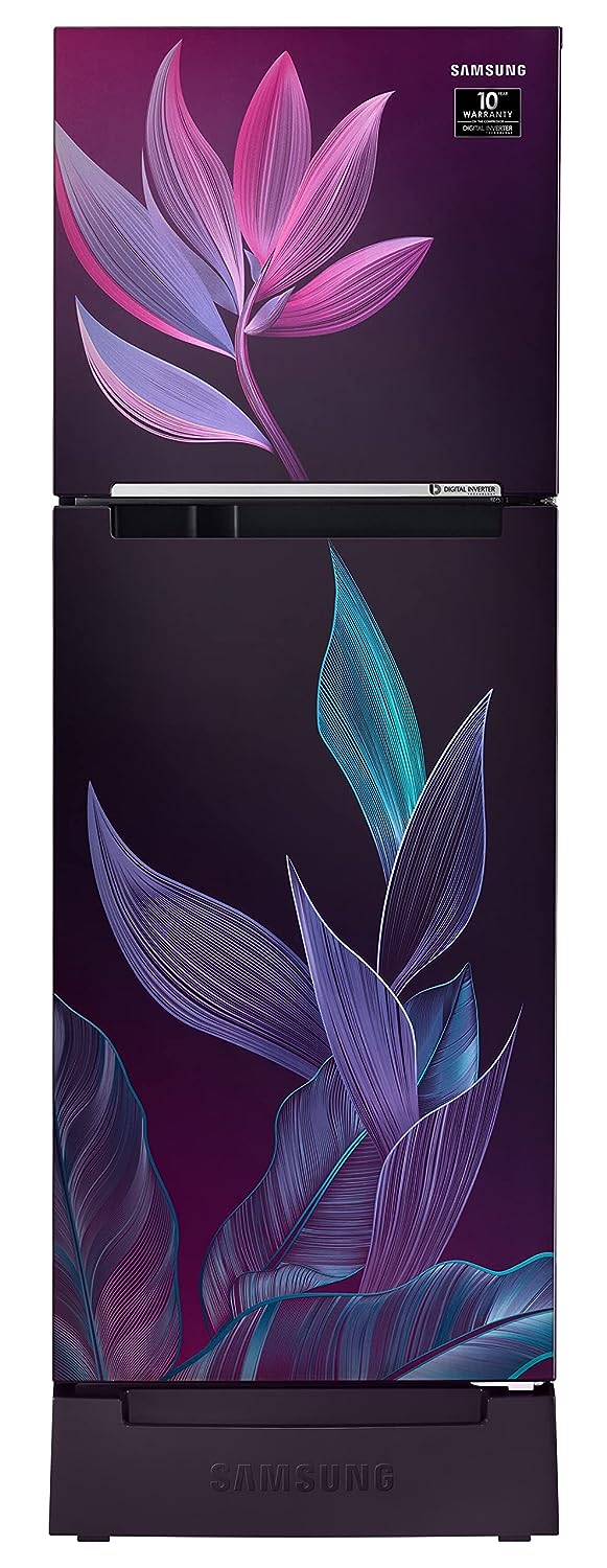Samsung RT28C31429R/HL 236L 2 Star Inverter Frost-Free Double Door Refrigerator Mahajan Electronics Online