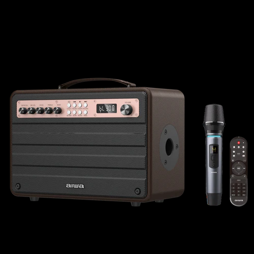 Aiwa MI-X440 Enigma Beta high Efficiency Audio with Retro Styling