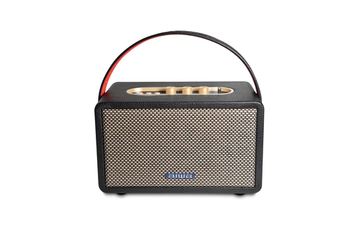 Aiwa RS-X100 Natsukasii Pro 40 W Bluetooth Home Audio Speaker (Black) - Mahajan Electronics Online