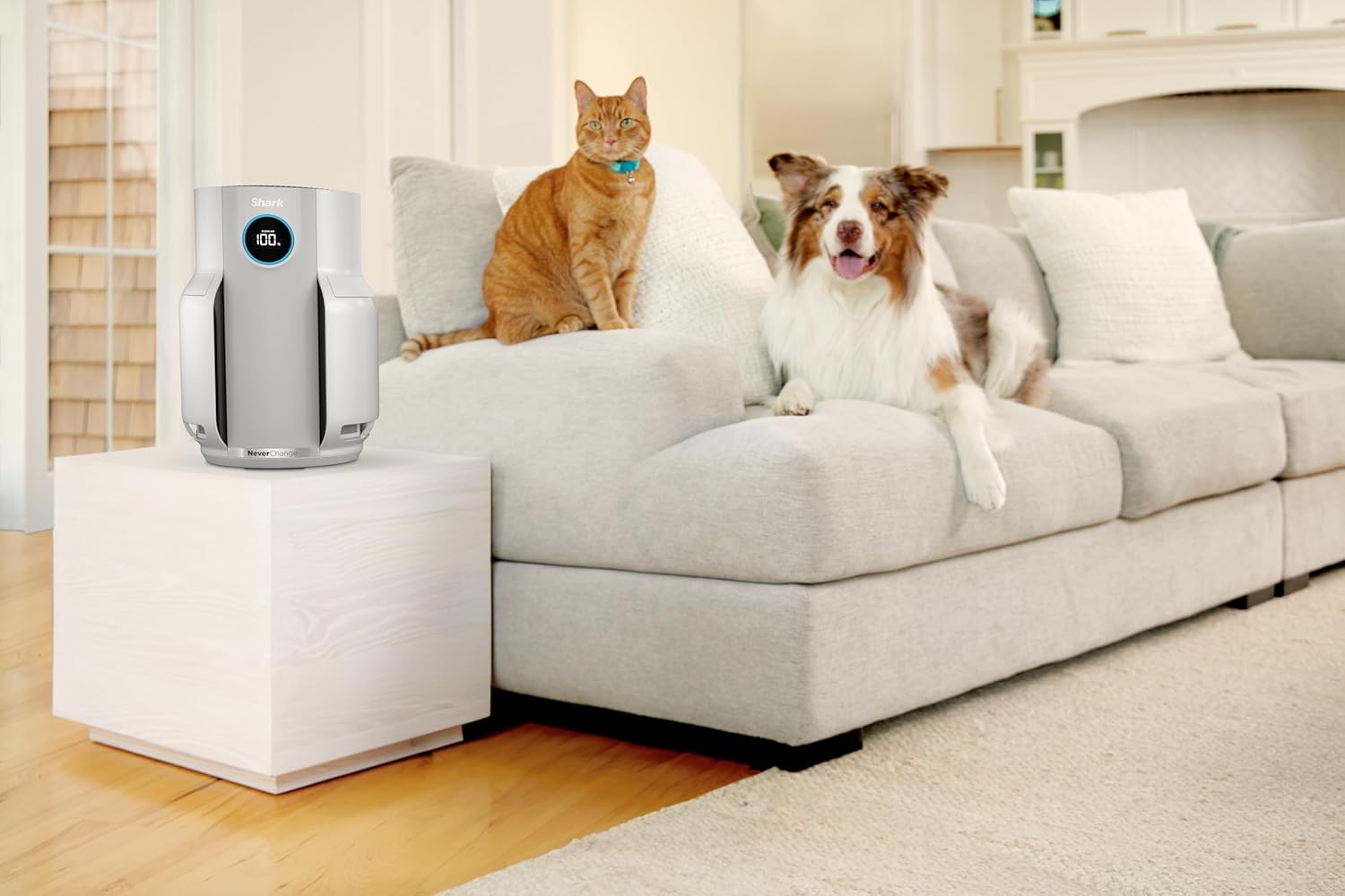 Shark HP150EU NeverChange Up to 5 Years Air Purifier for Home, Bedroom, Space Coverage 60m2, 5-Year HEPA Filter Catches 99.97% of Allergens, Pollen, Pet Chips, Silent LED Display, White Mahajan Electronics Online