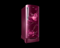 Samsung 183L Stylish Grandé Design Single Door Refrigerator RR20C2812R8 - Mahajan Electronics Online