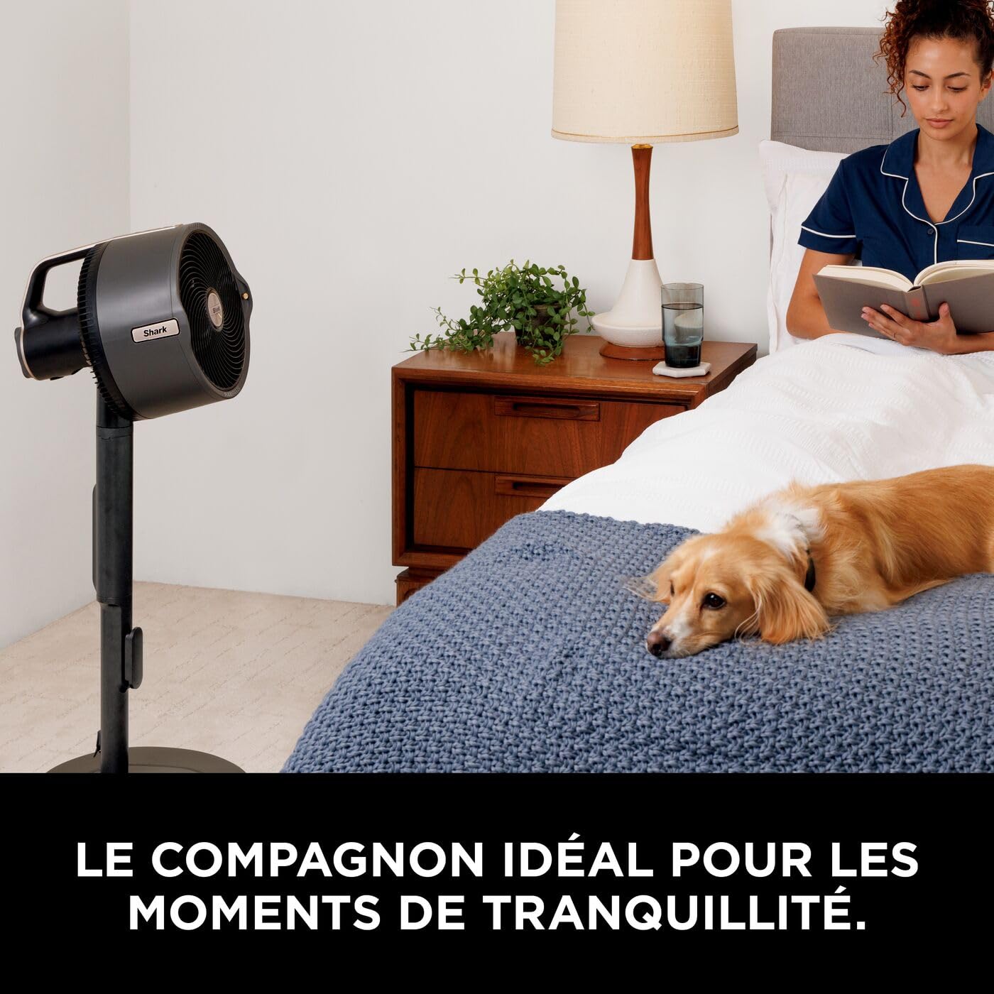 Shark FA300EU FlexBreeze Pro Mist Wireless Indoor/Outdoor Fan, Portable Mister, 20m Range, Free Standing or Tabletop, 5 Speed, Quiet, Remote Control, Charcoal Grey Shark