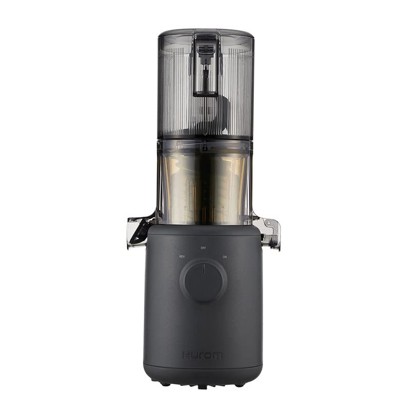 Hurom H310A Slow Masticating Juicer (H310A Charcoal) - Mahajan Electronics Online