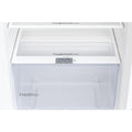 Voltas Beko 200 L 4 star Direct Cool Refrigerator, Dahlia Wine (RDC220B60/DWEXXXXSG) - Mahajan Electronics Online