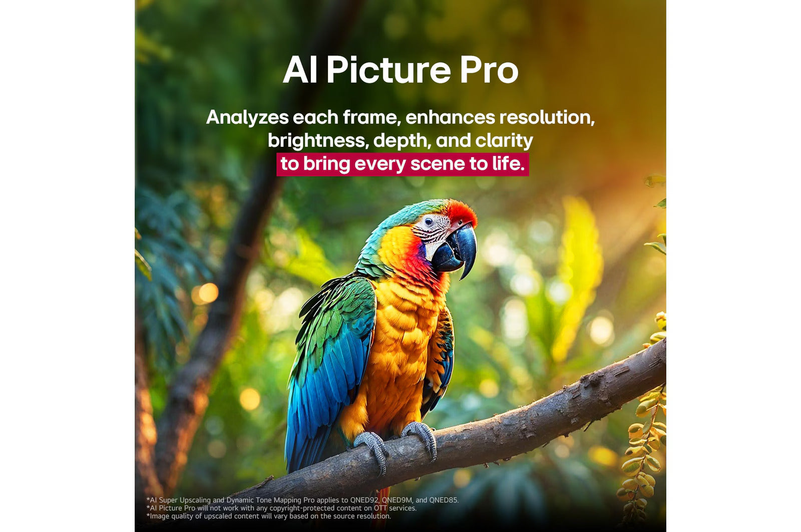 LG 65QNED8GA6A 164cm (65) 4K QNED 8GA MiniLED Smart TV with α8 AI Processor 4K Gen2, FILMMAKER MODE ™, AI Picture Pro with Dolby Vision & Atmos  Mahajan Electronics Online