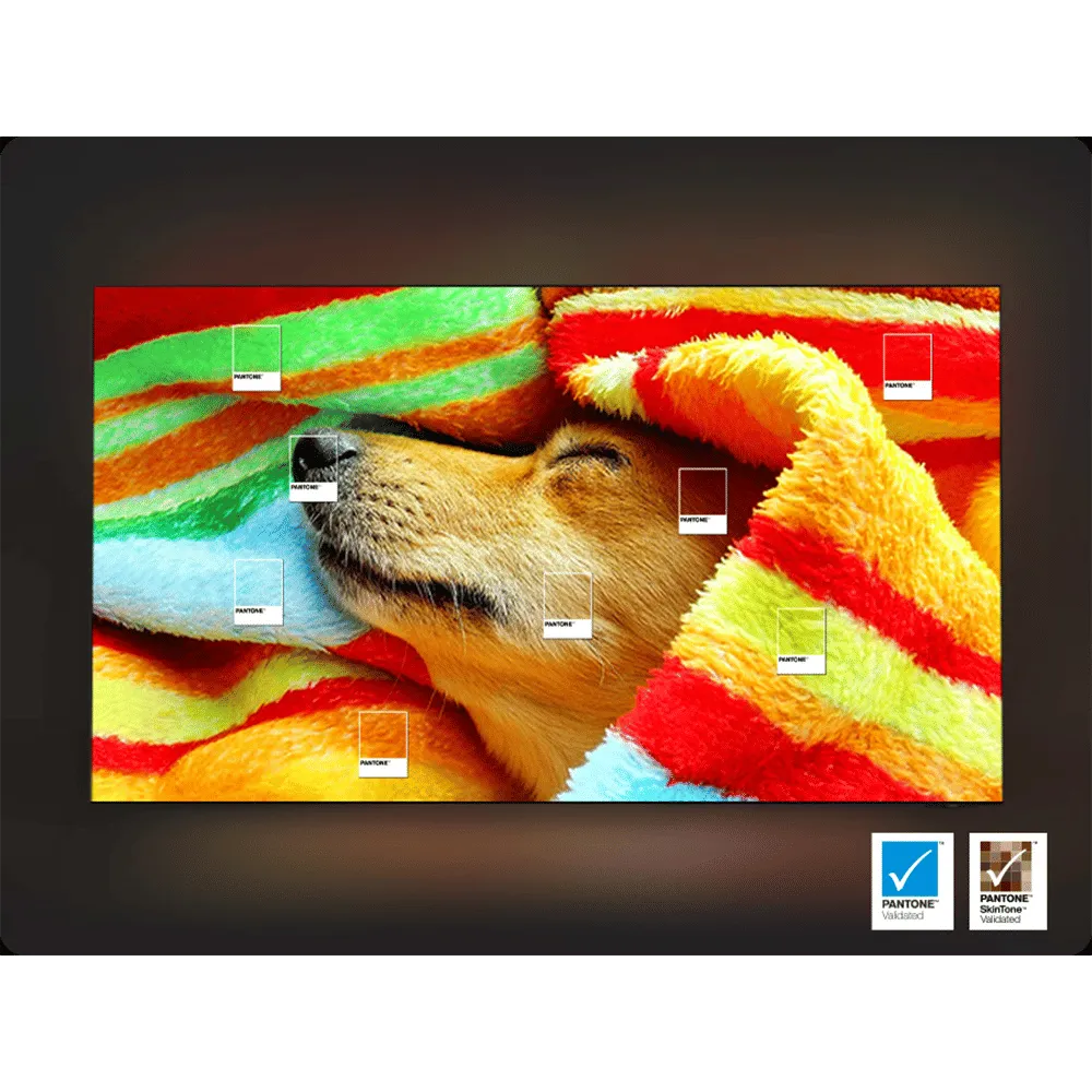 SAMSUNG QA98Q7FAAUXXL 248.9 cm (98 inch) QLED 4K Ultra HD Smart Tizen TV with Google Voice Assistant Mahajan Electronics Online