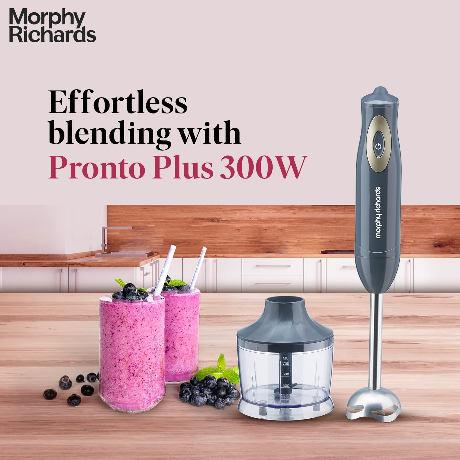 Morphy Richard Pronto Plus Hand Blender 300W, Grey Mahajan Electronics Online