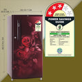 LG 185 L 3 Direct-Cool Single-Door Refrigerator (GL-B199OSED, Scarlet Euphoria, Fastest Ice Making, 2023 Model) Mahajan Electronics Online