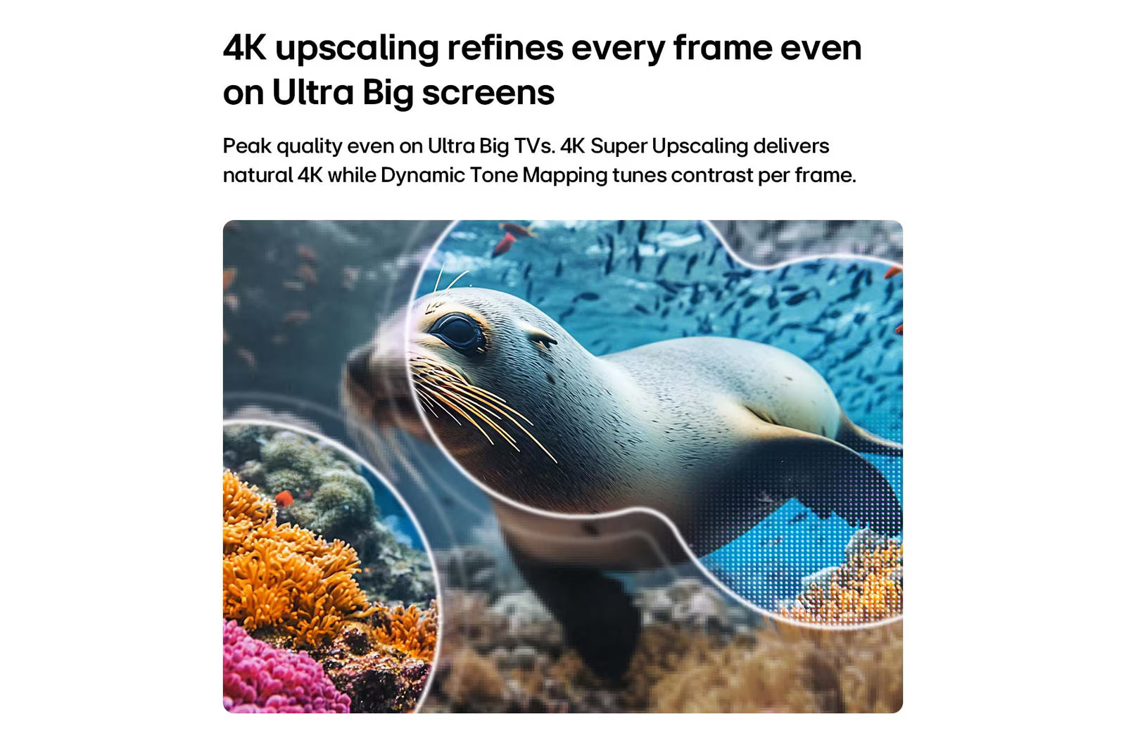 LG 65NU880BPLA  (65) NANO 4K UHD AI NU880B Smart TV 2026 Mahajan Electronics Online