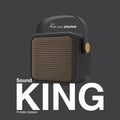 FINGERS SoundKing Portable Speaker with Magnificent Sound & Bold bass Mahajan Electronics Online