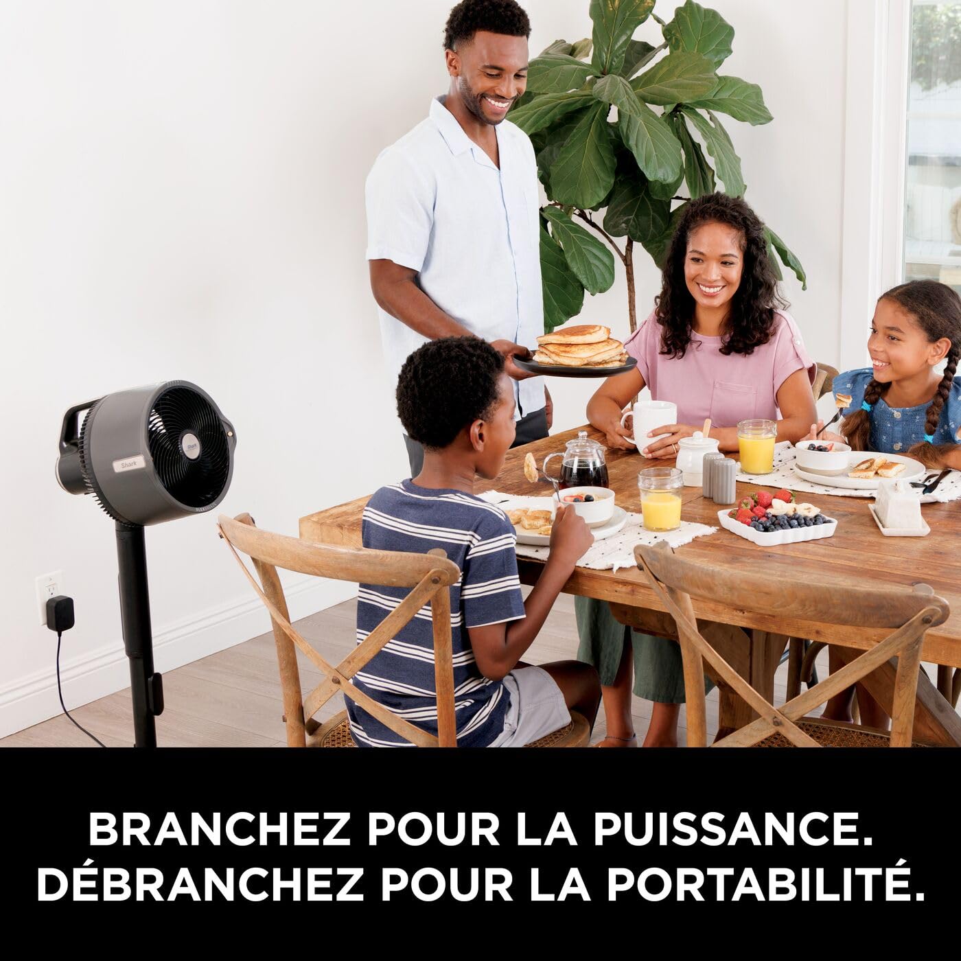 Shark FA300EU FlexBreeze Pro Mist Wireless Indoor/Outdoor Fan, Portable Mister, 20m Range, Free Standing or Tabletop, 5 Speed, Quiet, Remote Control, Charcoal Grey Shark