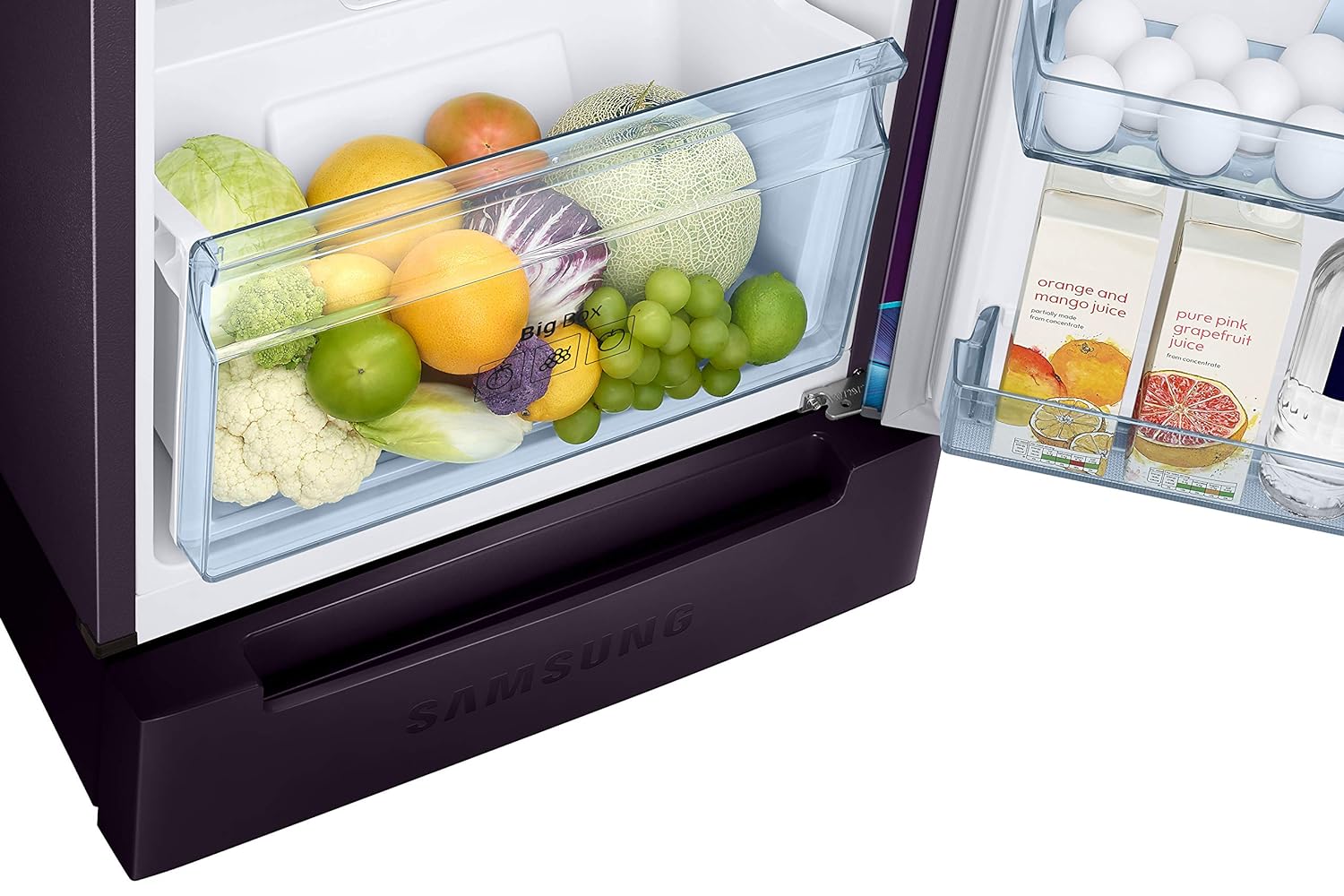 Samsung RT28C31429R/HL 236L 2 Star Inverter Frost-Free Double Door Refrigerator Mahajan Electronics Online
