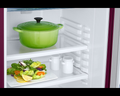 Samsung 183L Stylish Grandé Design Single Door Refrigerator RR20C2812R8 - Mahajan Electronics Online