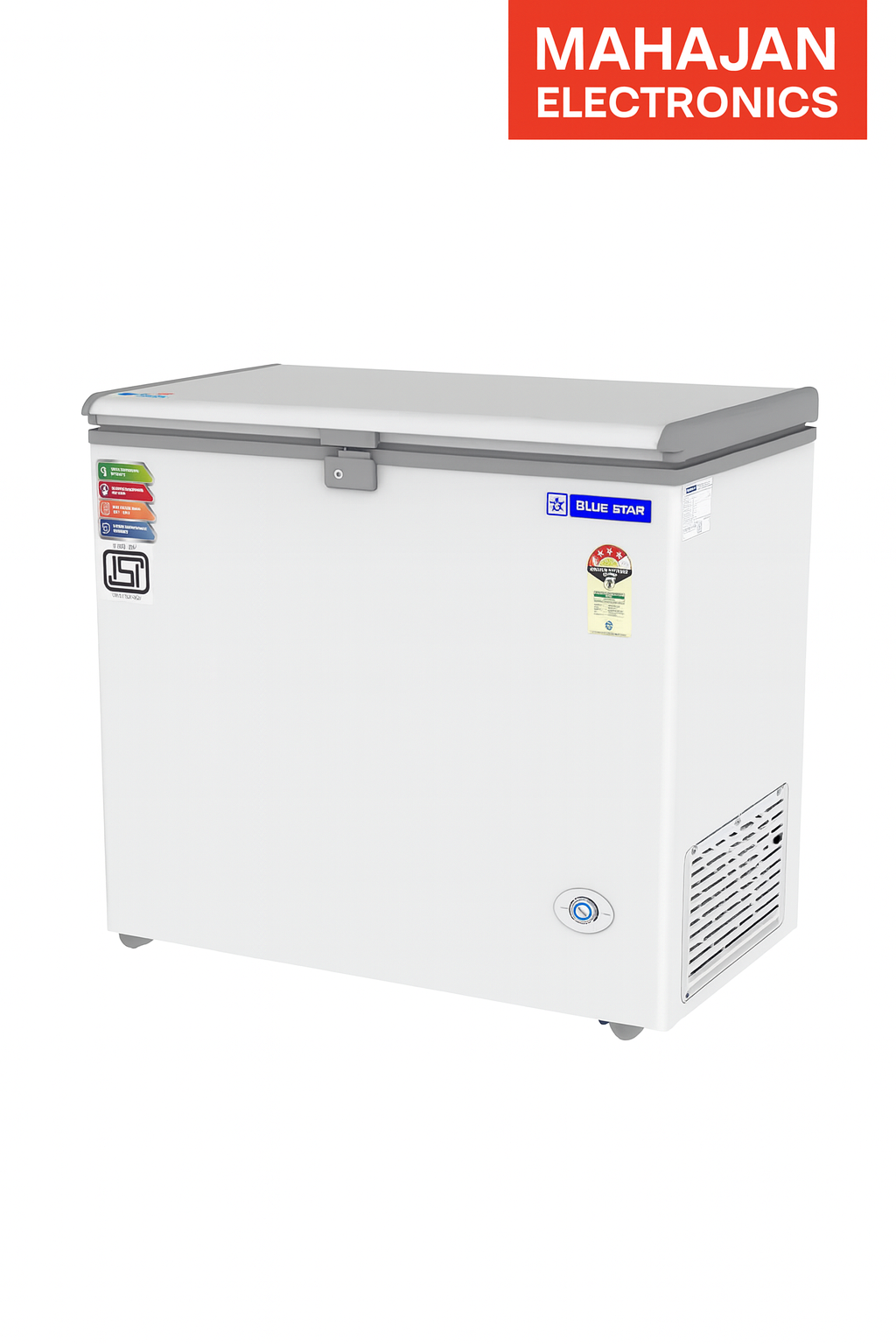 Blue Star CF4-230NEYW 215 Litre Double Door Deep Freezer | R290 Eco Refrigerant | Direct Cooling | 4 Star Rating | White | Made in India