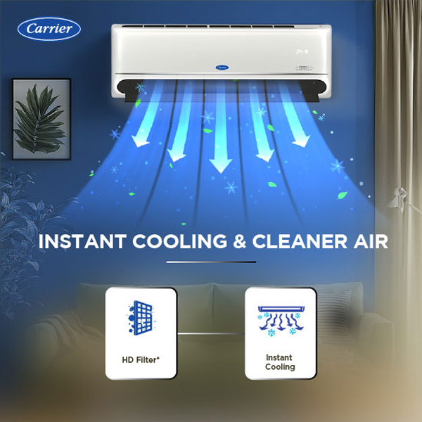 Carrier 24K INDUS GX  2 Ton 2 Star AFixed Speed Split AC ( R32, Copper Condenser, PM 2.5 Filter, Heating & Cooling, White) – CAS24IN2R36F0-Online Mahajan Electronics