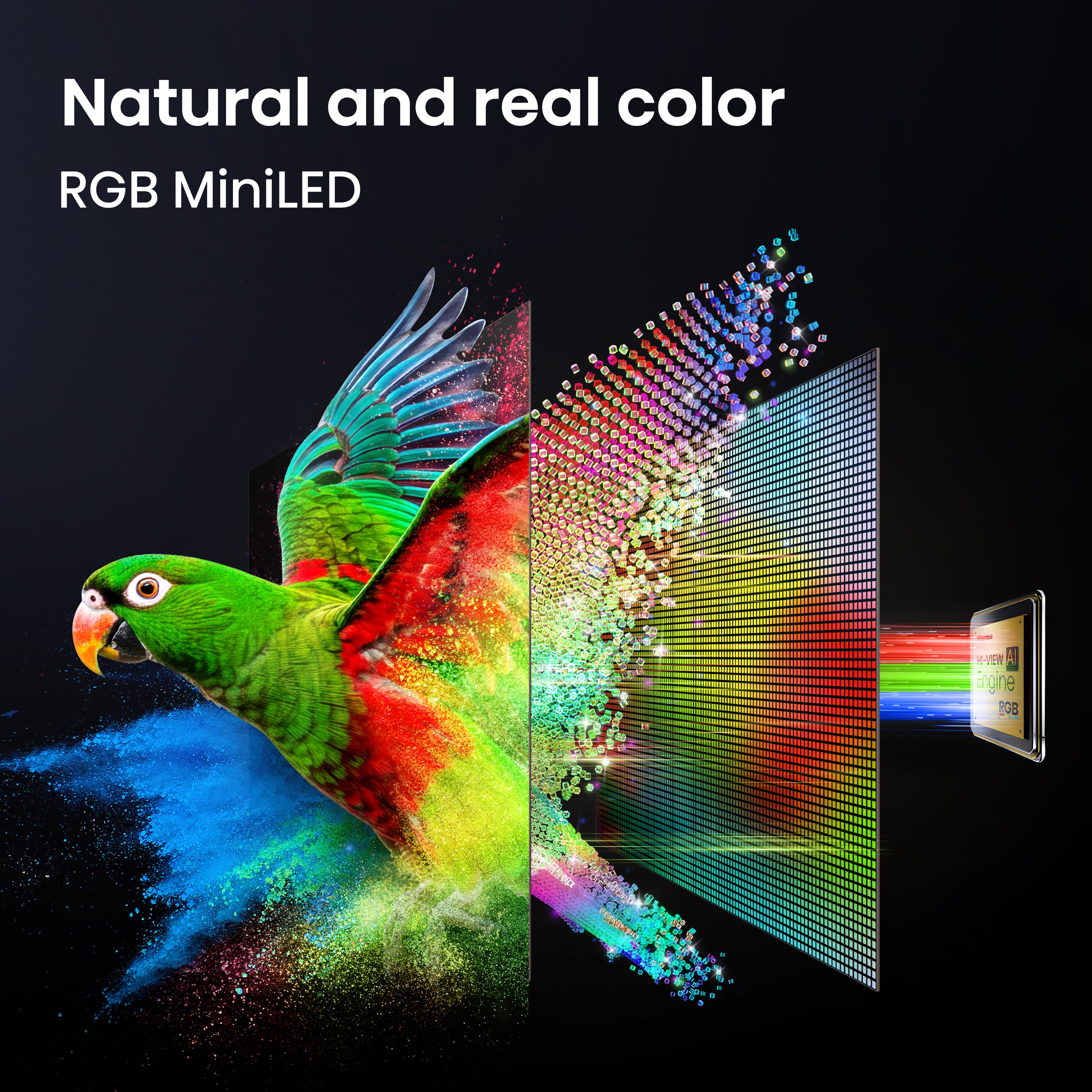 Hisense 65UR8S 65 Inch UR8 Series RGB Mini LED 4K Google TV (2026 Model)-Online Mahajan Electronics