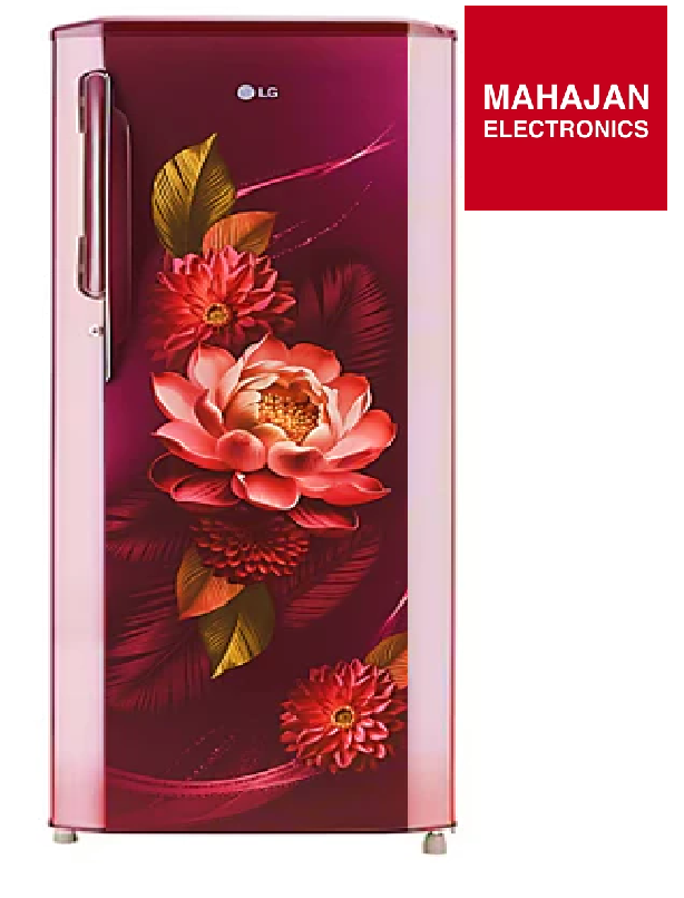 LG GL-B281BRWX 261 L 3 Star Inverter Direct Cool Single Door Refrigerator | Smart Inverter Compressor | Fast Ice Making | Moist ‘n’ Fresh | Shiny Steel