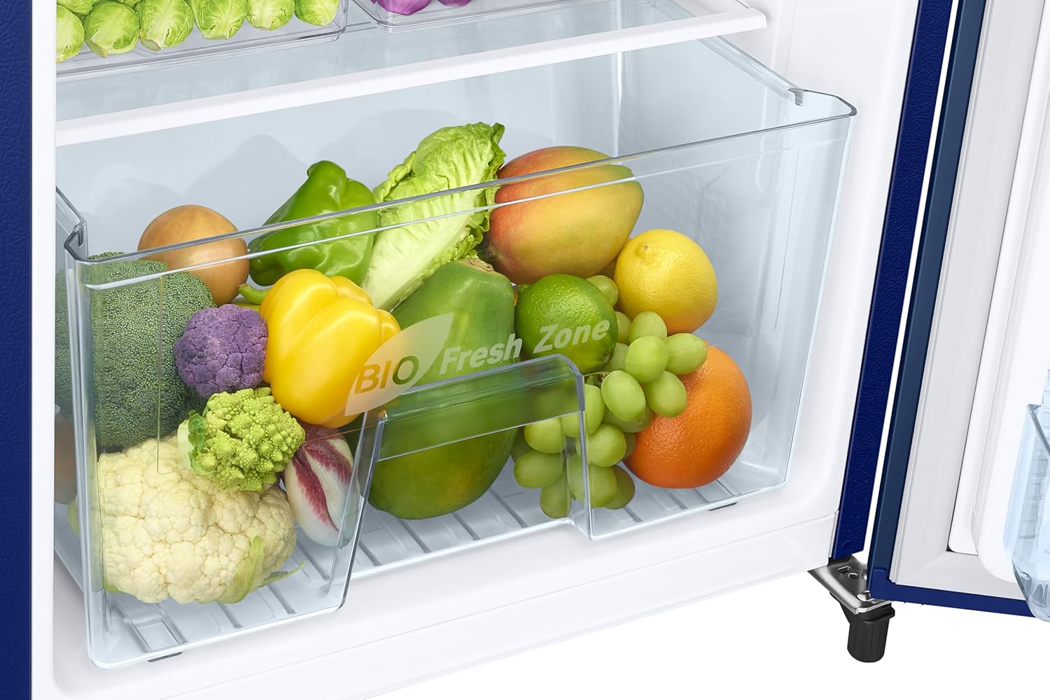 Samsung RR19H2YC1CU/NL 183 L, 1 Star, Digital Inverter, Direct-Cool Single Door Refrigerator ( Camellia Blue, Single Touch Defrost, 2026 Model-Online Mahajan Electronics