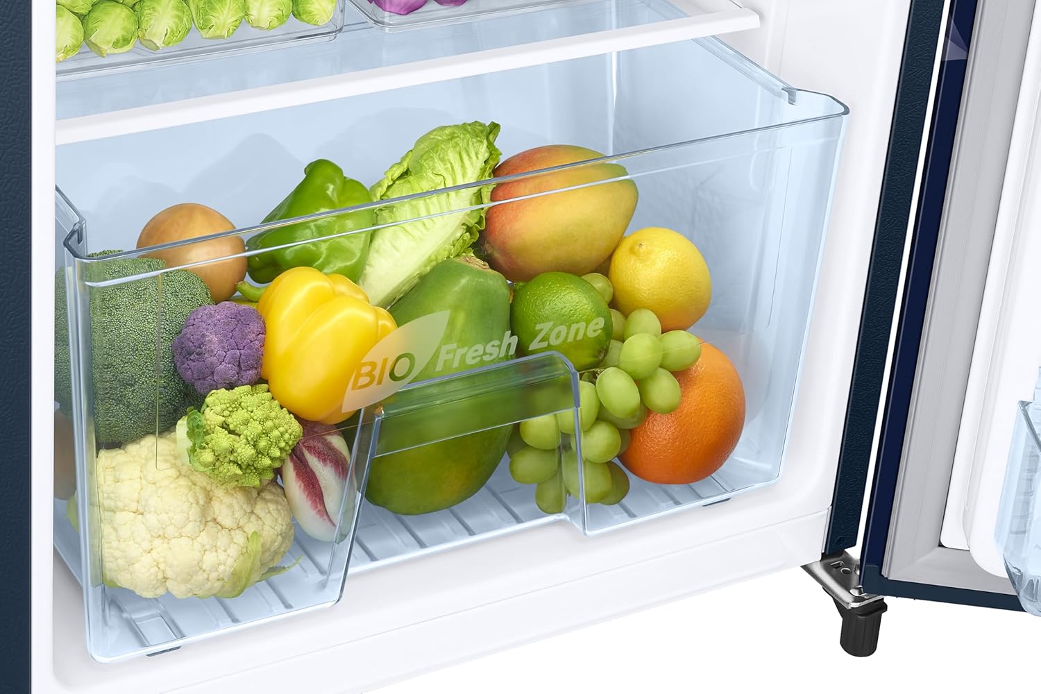 Samsung 183 L, 2 Star, Digital Inverter, Direct-Cool Single Door Refrigerator ( Himalayan Poppu Blue, Single Touch Defrost, 2026 Model)-Online Mahajan Electronics