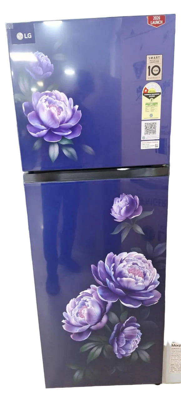 LG GLT2516WWRG 251L 1 Star Frost Free Double Door Refrigerator