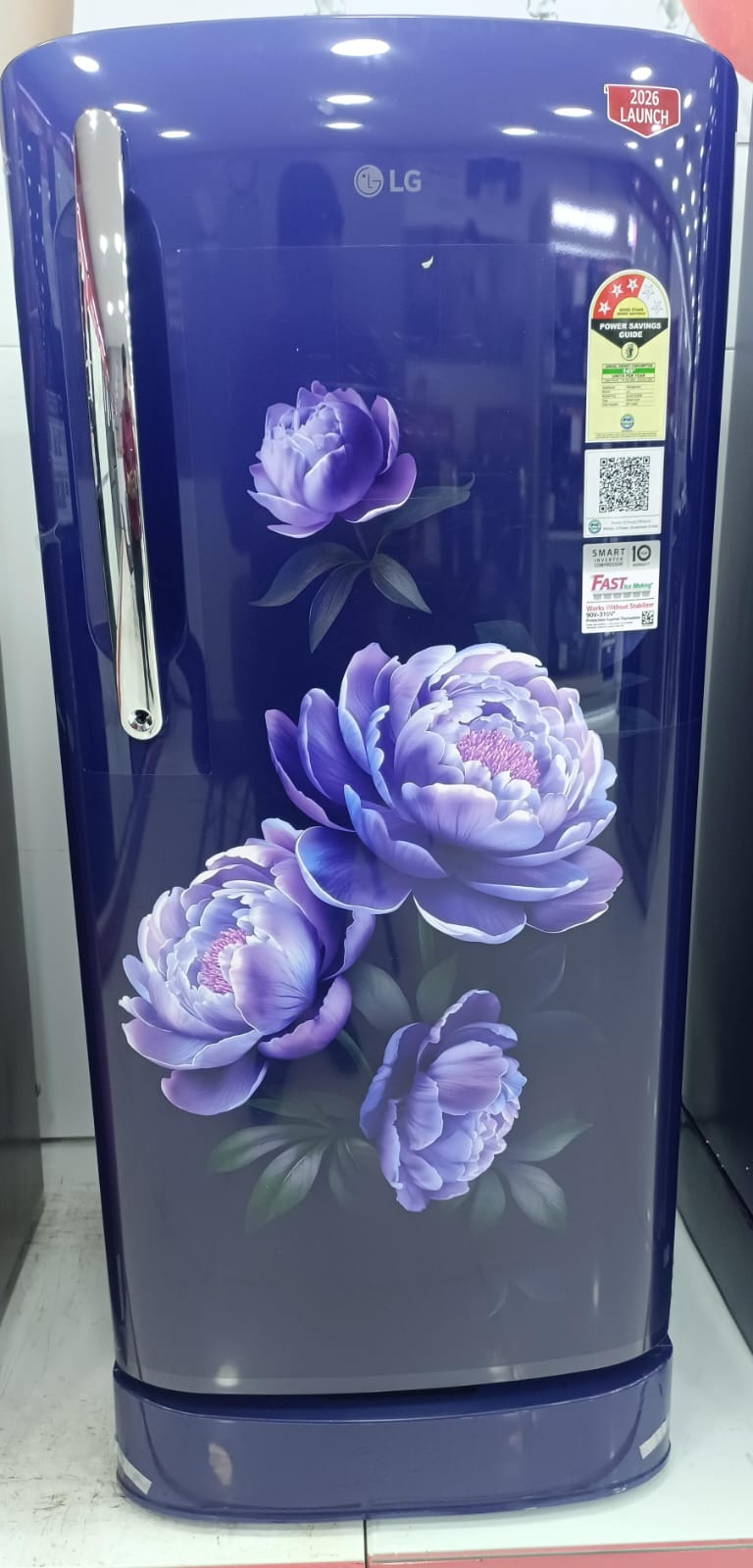 LG GLD2136ZHRG 201 L Single Door Refrigerator, Base Stand Drawer, Direct Cool, Smart Inverter Compressor, 3 Star Royal Glory Mahajan Electronics Online