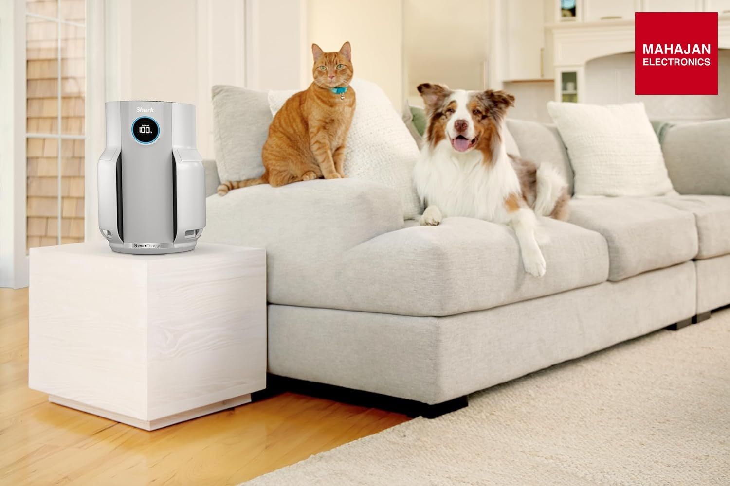 Shark HP150EU NeverChange Up to 5 Years Air Purifier for Home, Bedroom, Space Coverage 60m2, 5-Year HEPA – Mahajan Electronics Online.