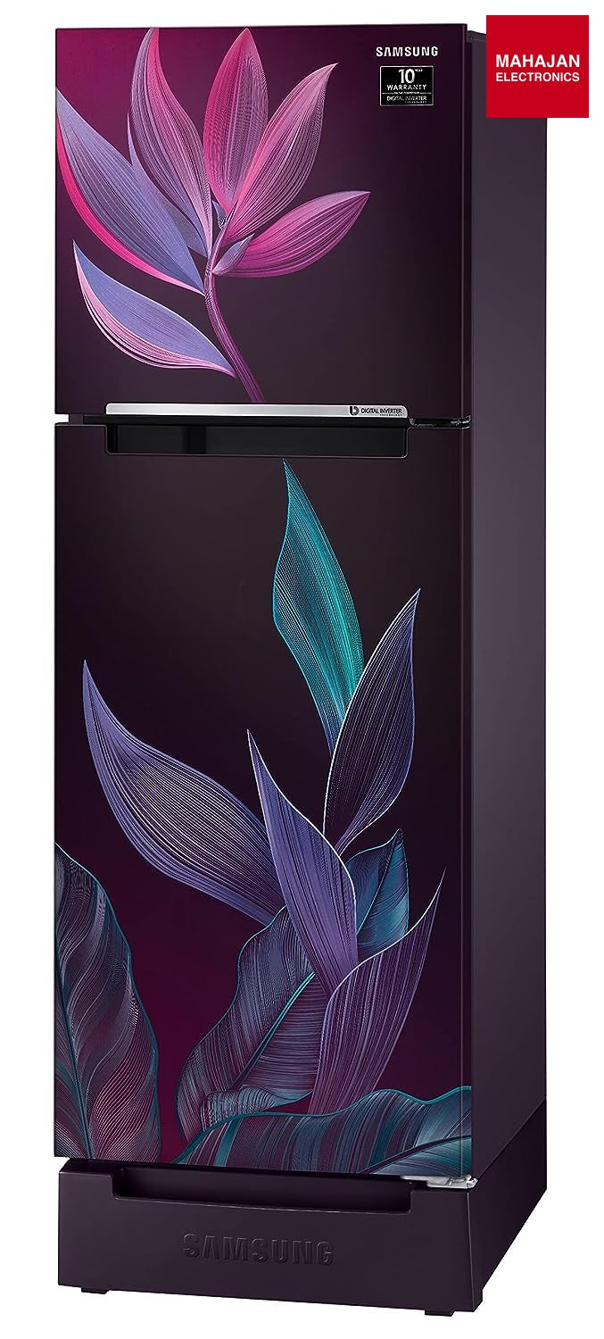Samsung RT28C31429R/HL 236L 2 Star Inverter Frost-Free Double Door Refrigerator Mahajan Electronics Online