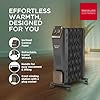 Havells Hestio 13 Fin Oil Filled Radiator – Mahajan Electronics