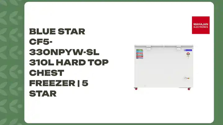 Blue Star CF5-330NPYW-SL 310L Hard Top Chest Freezer | 5 Star by@Outfy