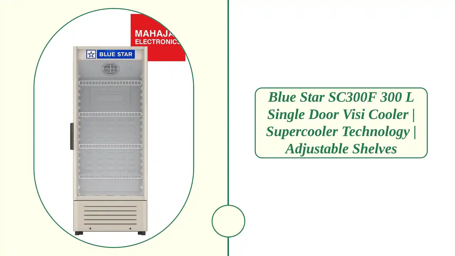 Blue Star SC300F 300 L Single Door Visi Cooler | Supercooler Technology | Adjustable Shelves by@Outfy