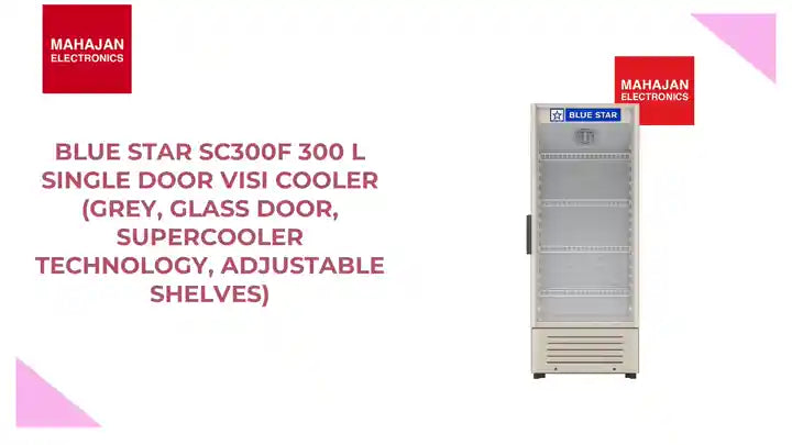 Blue Star SC300F 300 L Single Door Visi Cooler (Grey, Glass Door, Supercooler Technology, Adjustable Shelves) by@Outfy